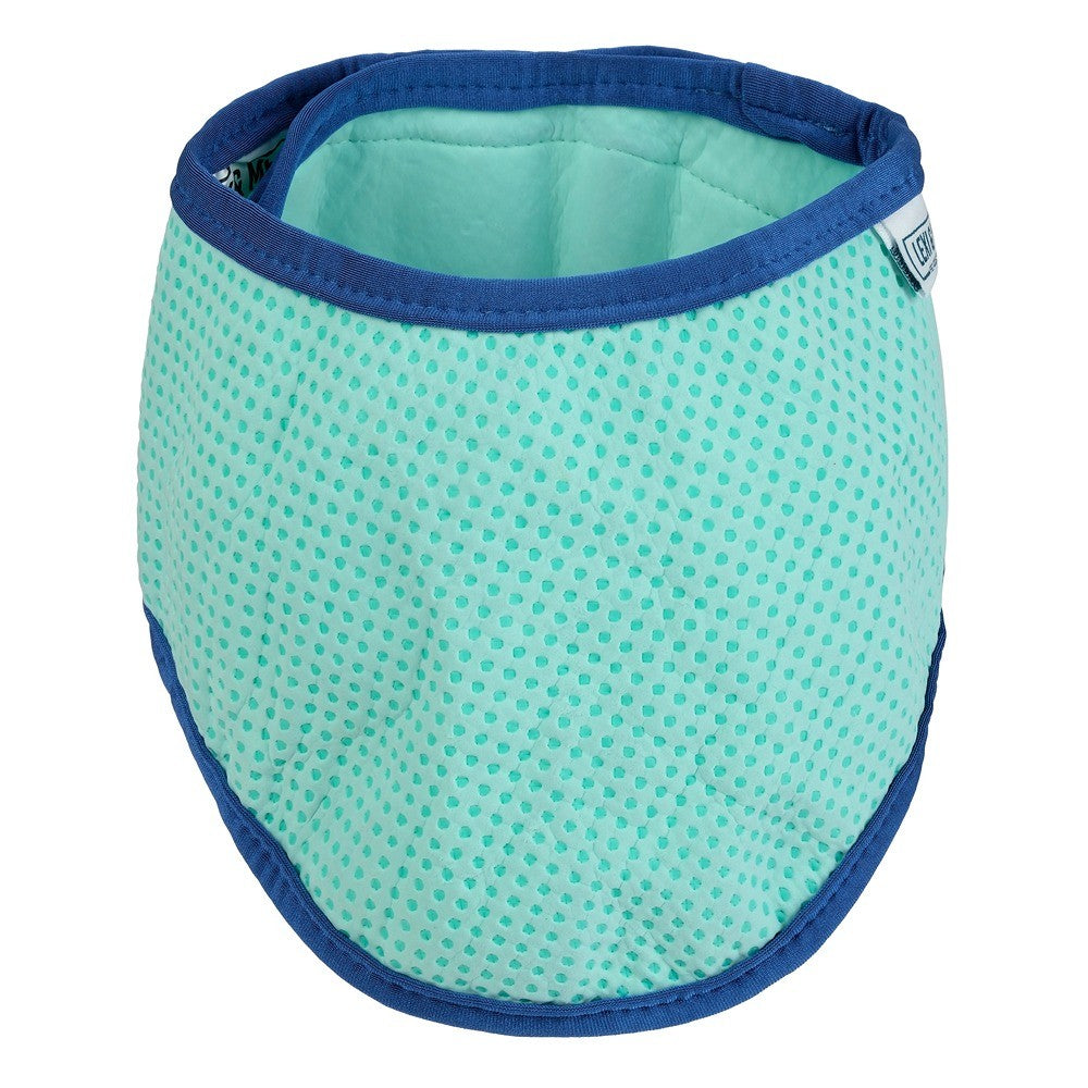 Lexi & Me Blue & Mint Cooling Bandana