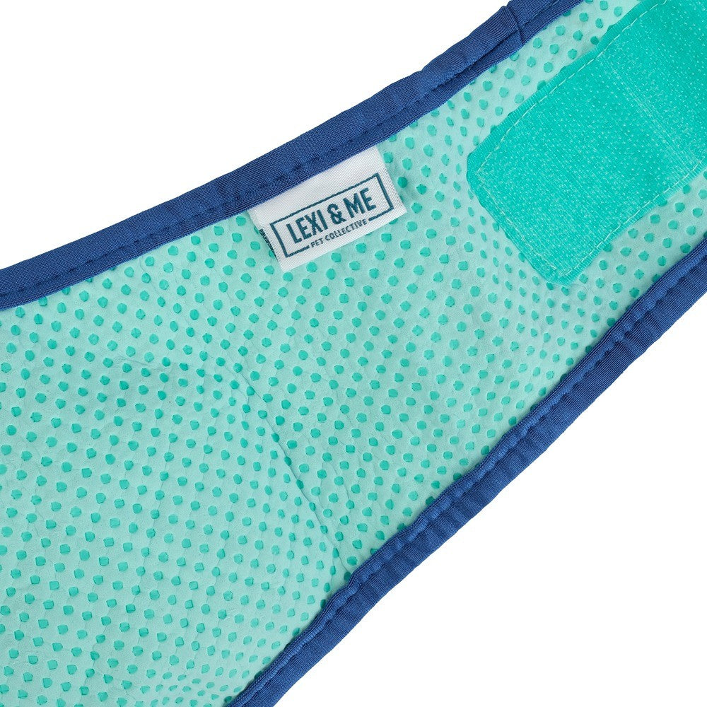 Lexi & Me Blue & Mint Cooling Bandana