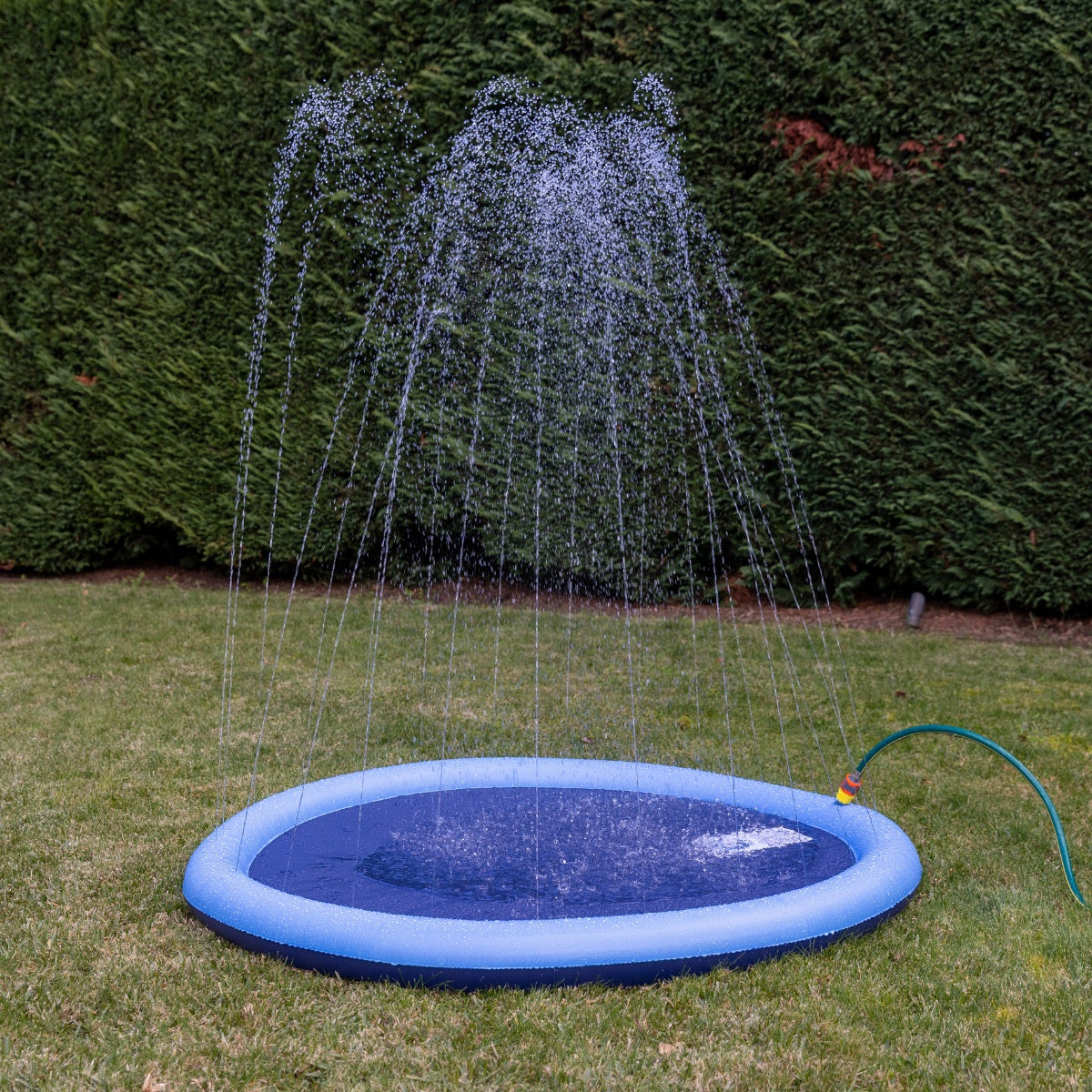 Lexi & Me Pet Sprinkler Pad