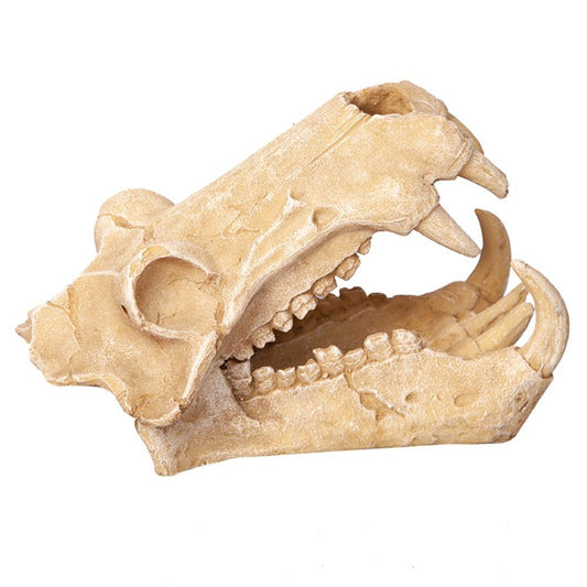 Aqua One Fish Tank Ornament Hippo Skull 11wx18.5dx13cmh