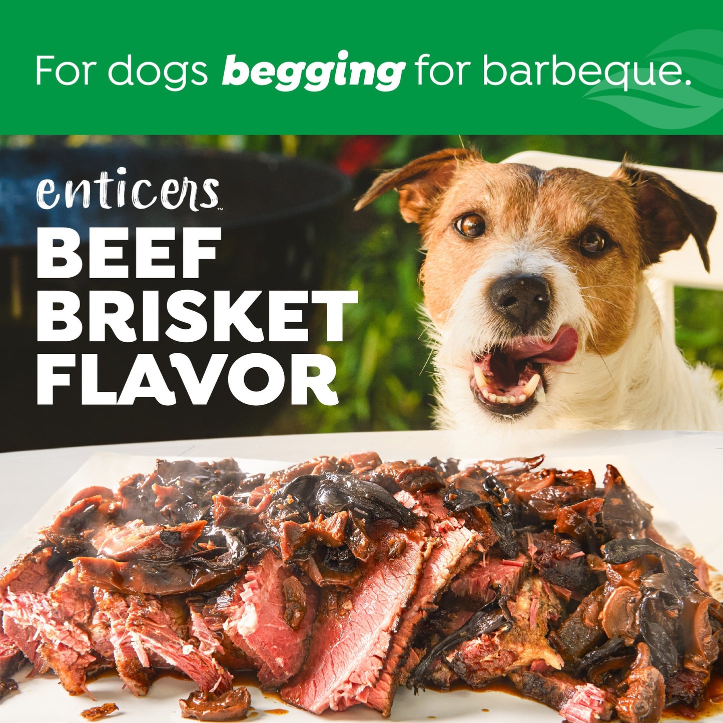 TropiClean Fresh Breath Enticers Smoked Beef Brisket Oral Care Kit for Dogs