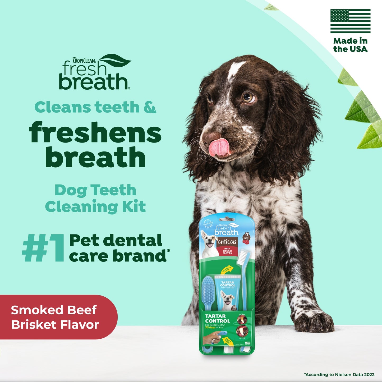 TropiClean Fresh Breath Enticers Smoked Beef Brisket Oral Care Kit for Dogs