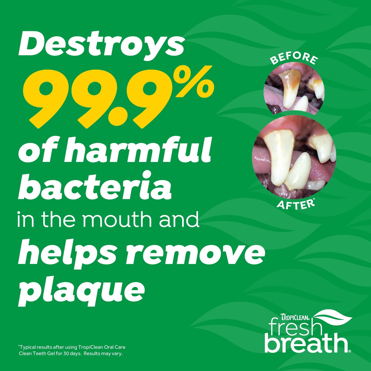 TropiClean Fresh Breath Enticers Peanut Butter & Honey Gel for Dogs