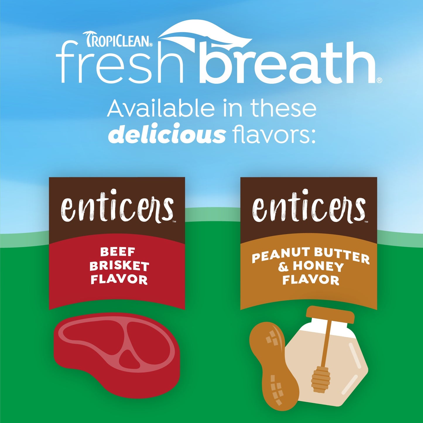 TropiClean Fresh Breath Enticers Peanut Butter & Honey Gel for Dogs