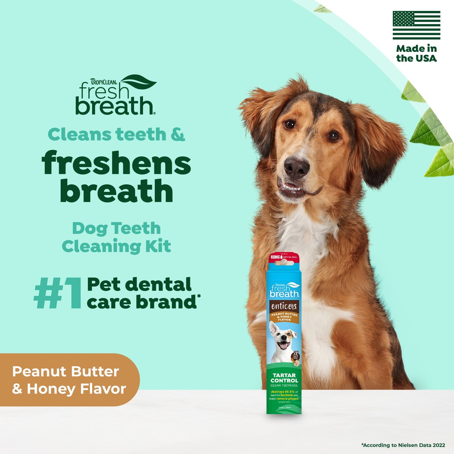 TropiClean Fresh Breath Enticers Peanut Butter & Honey Gel for Dogs
