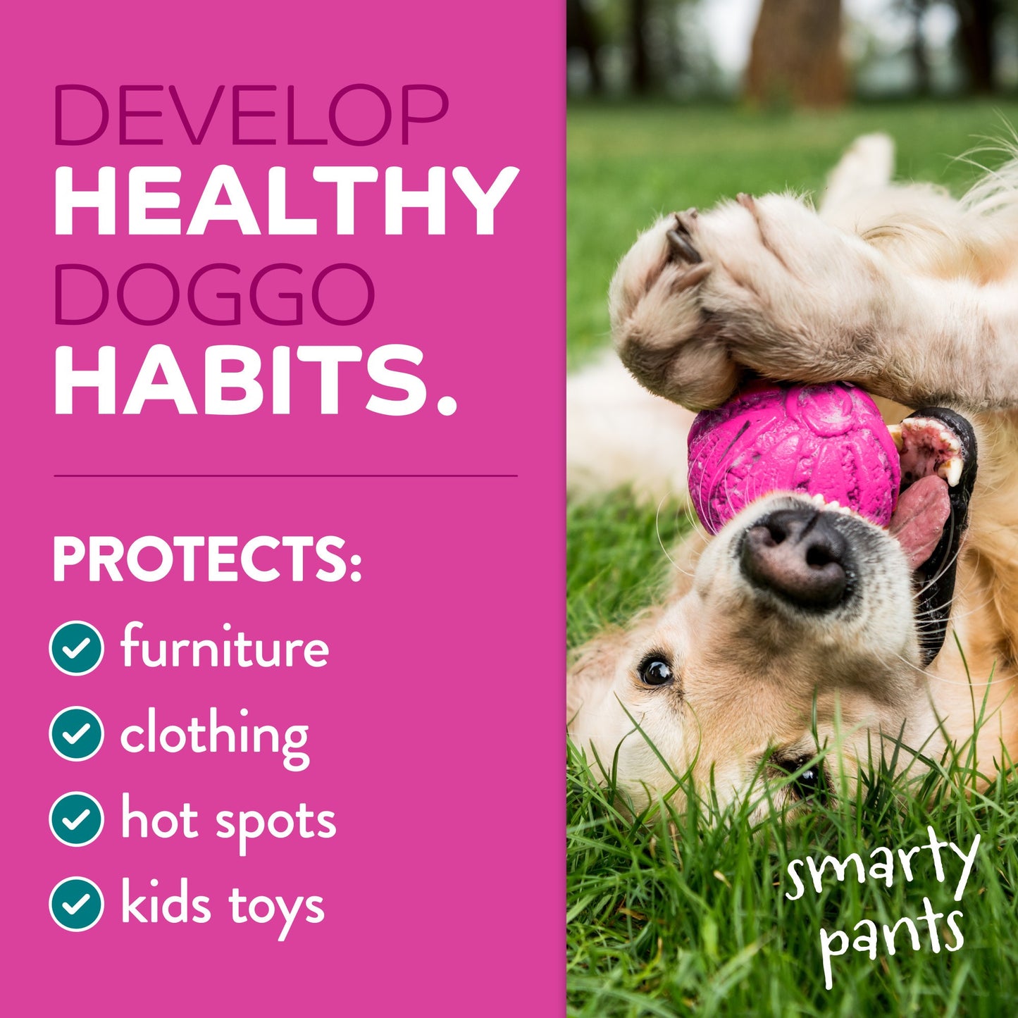 TropiClean Behaviour Chew Stop Spray for Dogs