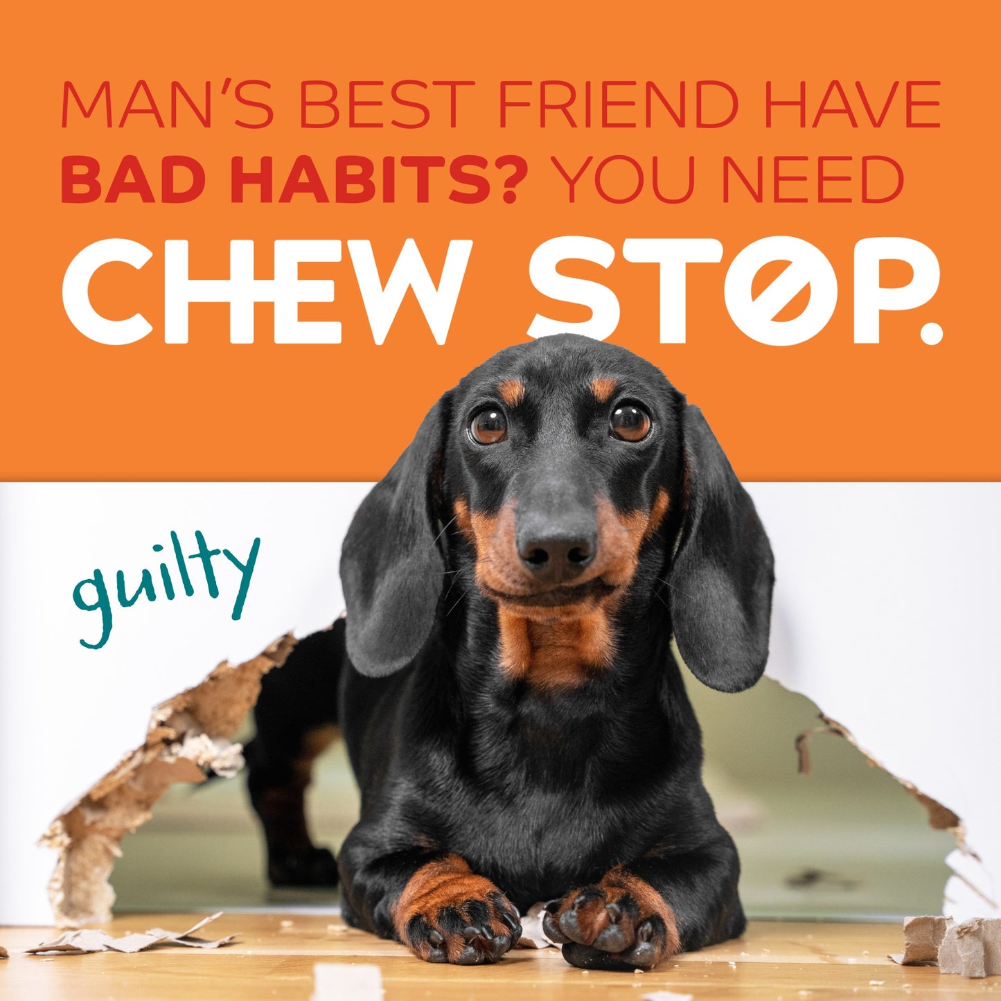 TropiClean Behaviour Chew Stop Spray Max Strength for Dogs