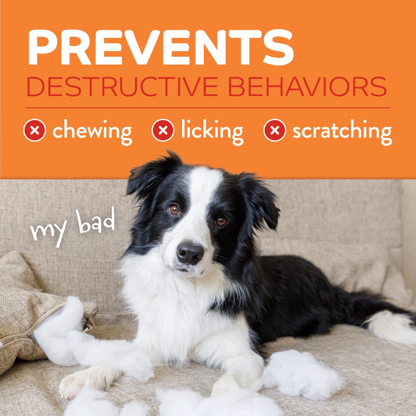 TropiClean Behaviour Chew Stop Spray Max Strength for Dogs