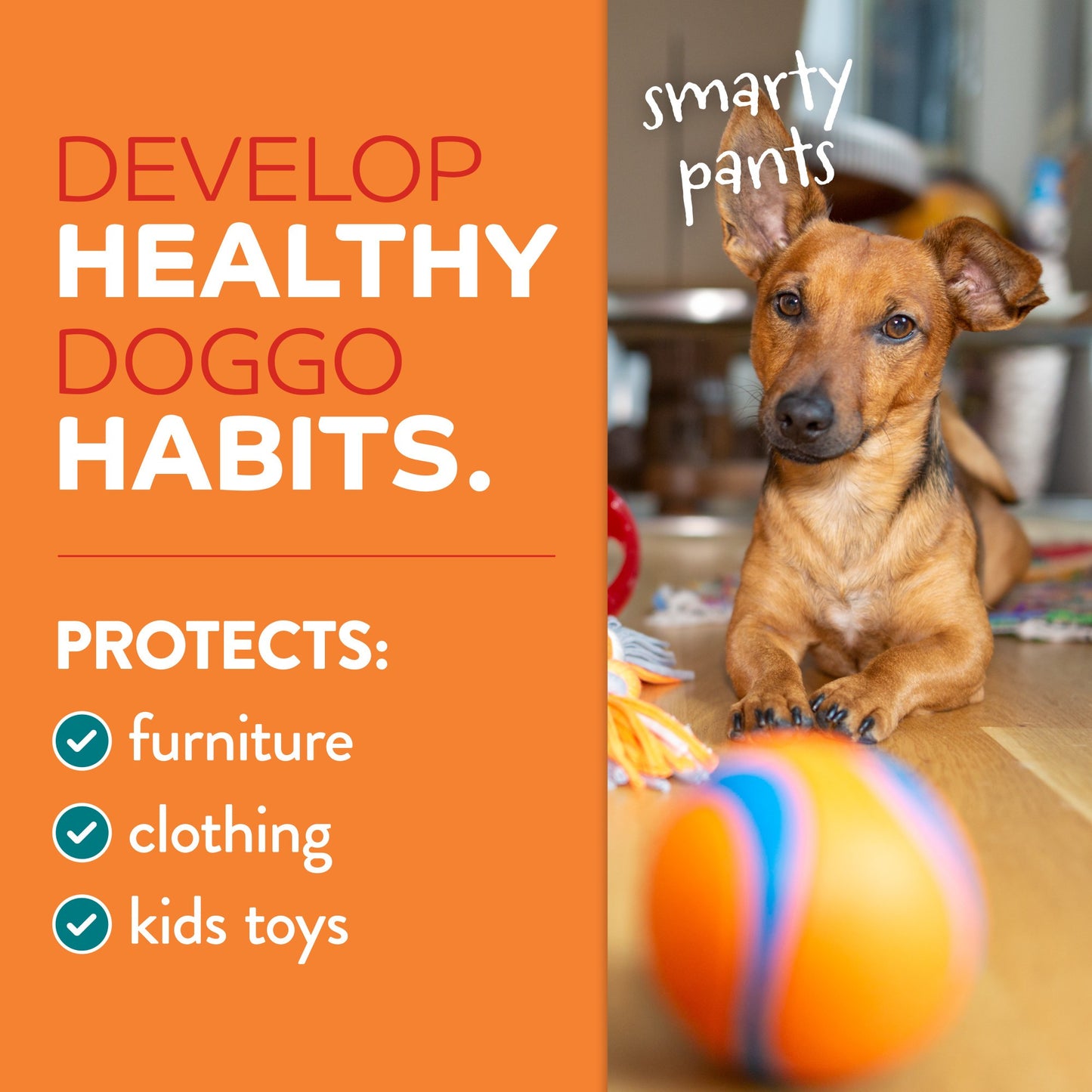 TropiClean Behaviour Chew Stop Spray Max Strength for Dogs