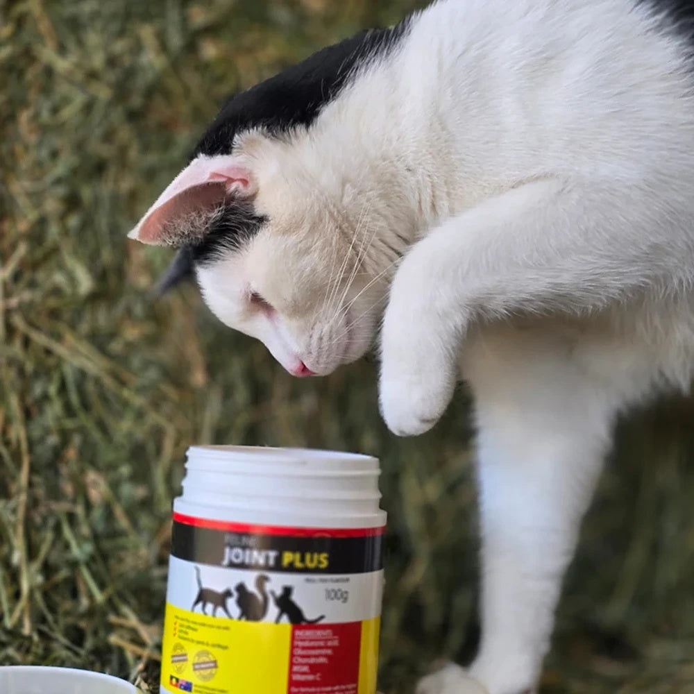 Feline Joint Plus Cat Supplement