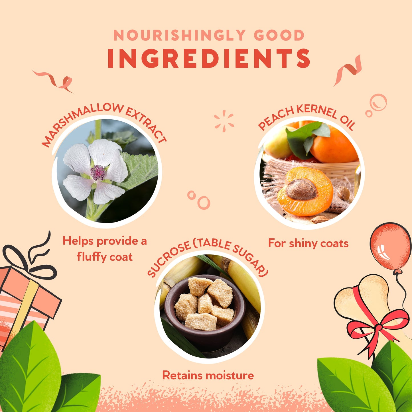 Pet Head Birthday Edition Shampoo 300ml