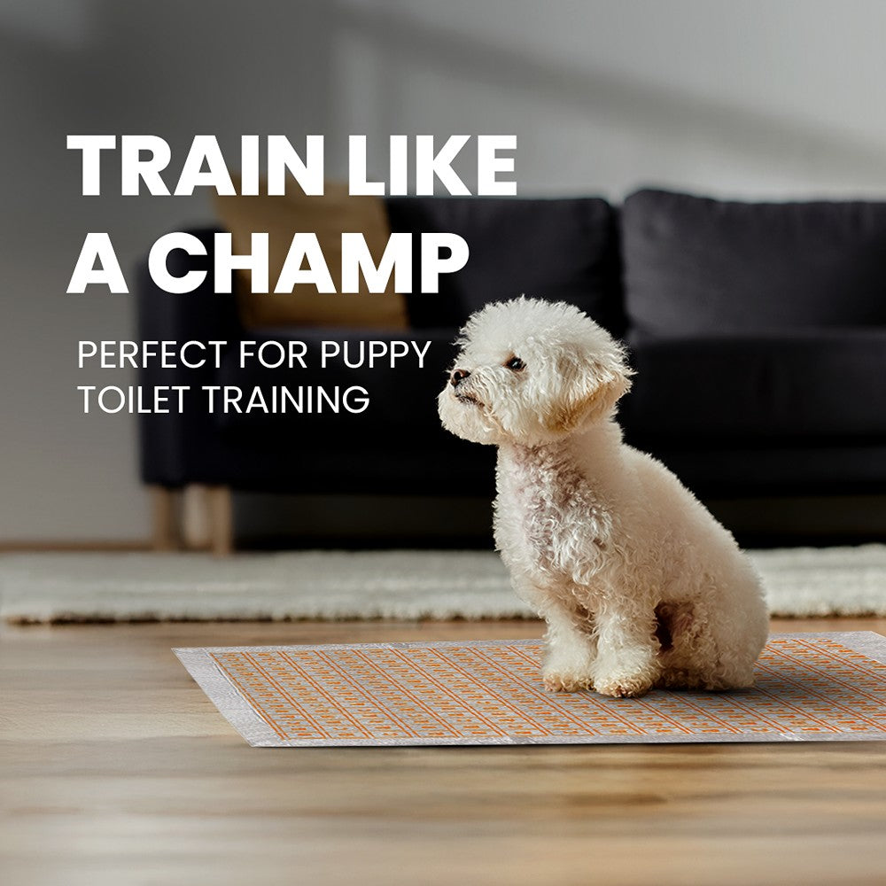 Rufus & Coco Wee Woof Health Check Pee Pads