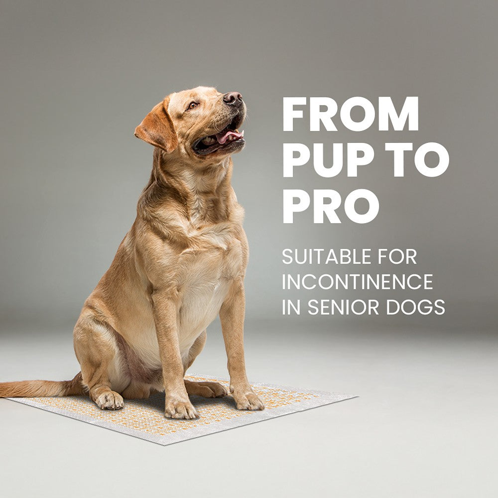 Rufus & Coco Wee Woof Health Check Pee Pads