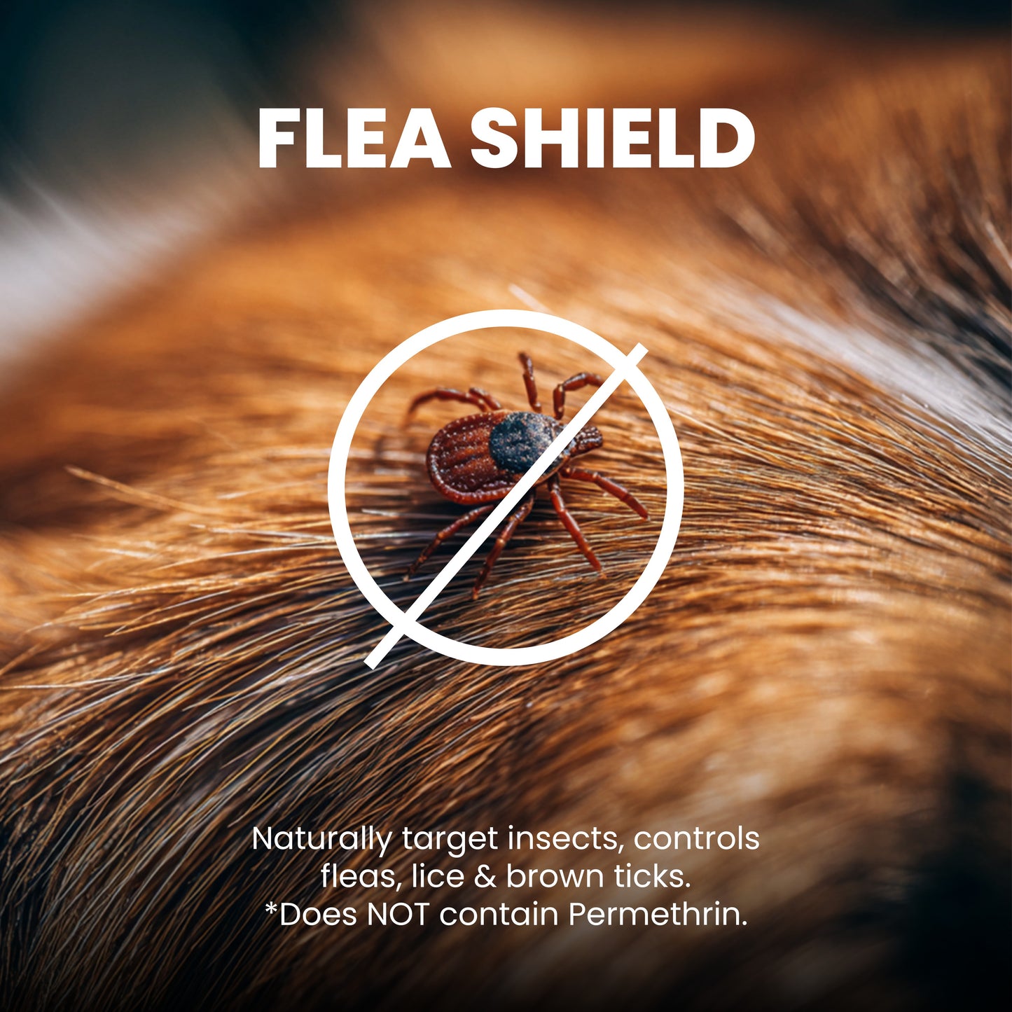 Rufus & Coco Flea Shield Salon Shine Pet Cleanser