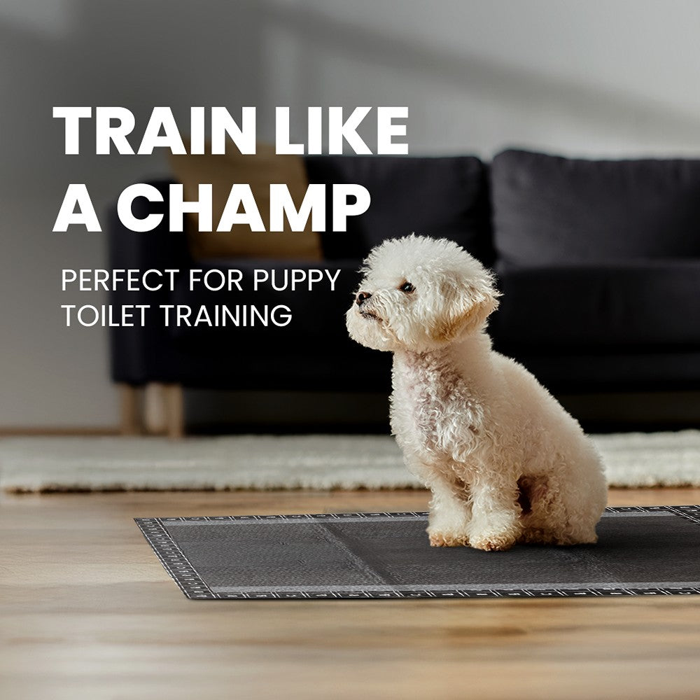 Rufus & Coco Wee Woof Antibacterial Pee Pads