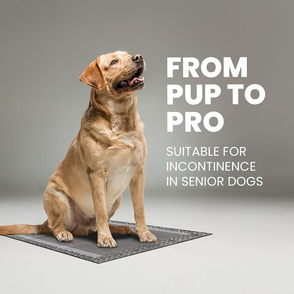 Rufus & Coco Wee Woof Antibacterial Pee Pads