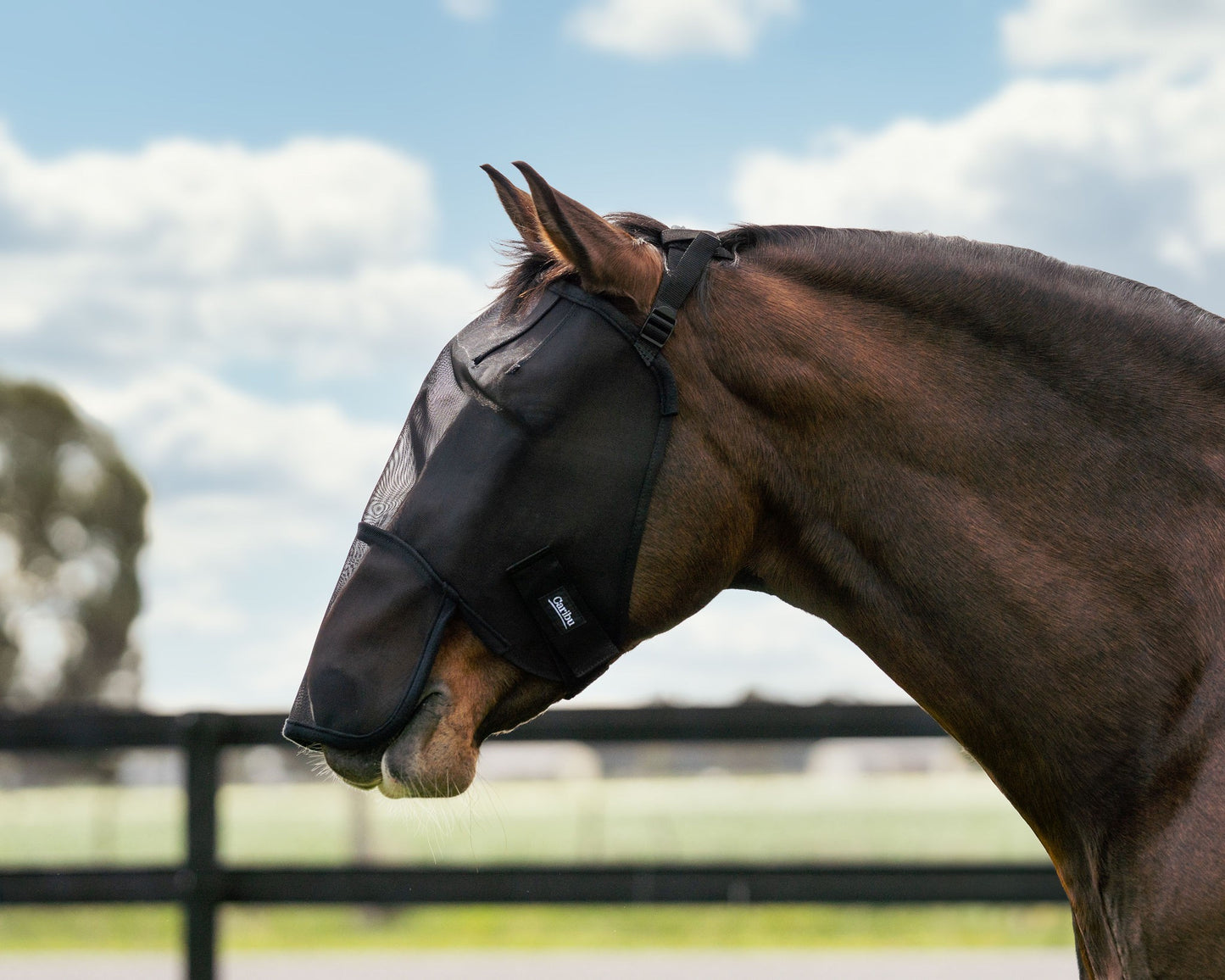 Caribu Standard Horse Fly Mask With Nose