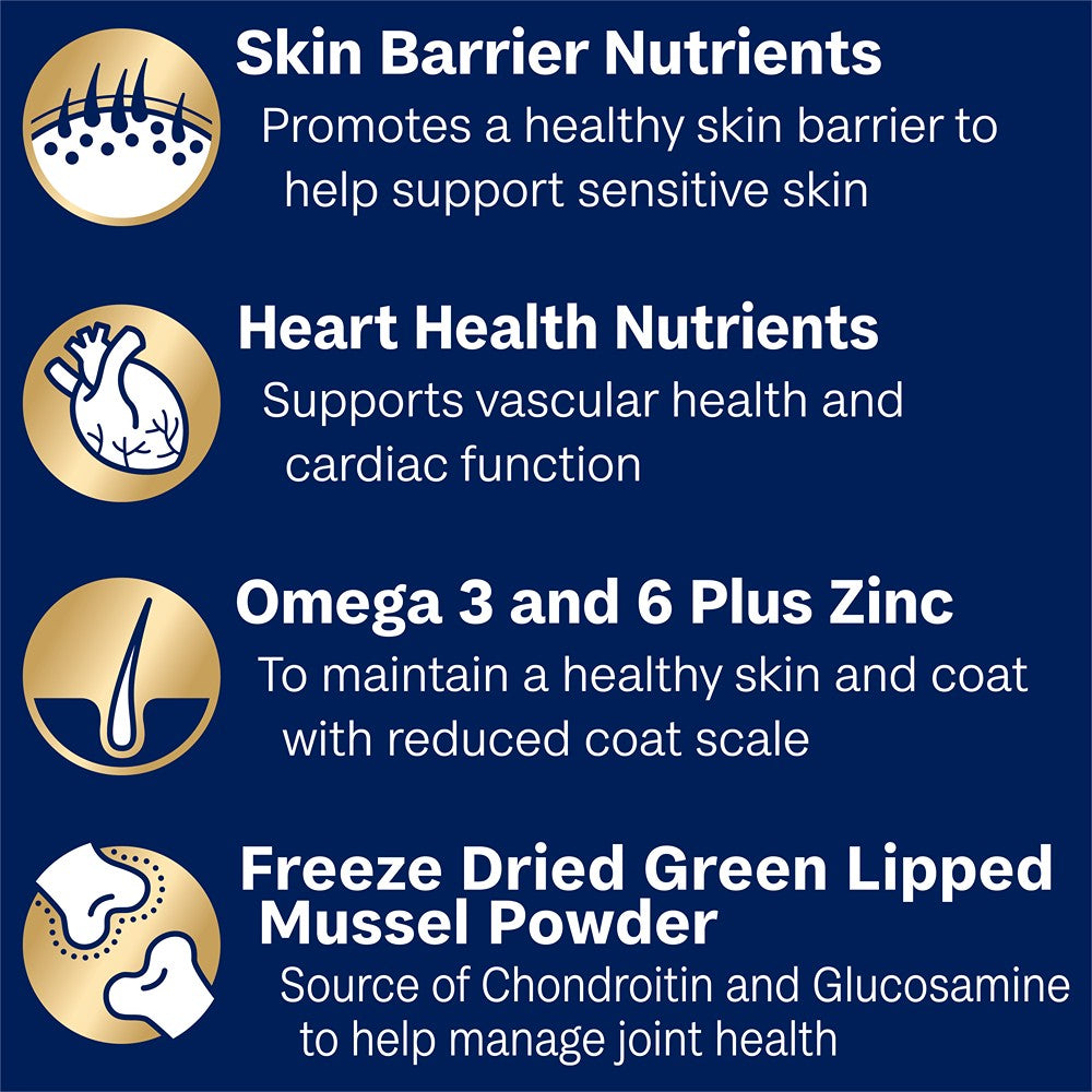 Advance Adult Large Breed Oodles Turkey & Rice Dry Dog Food