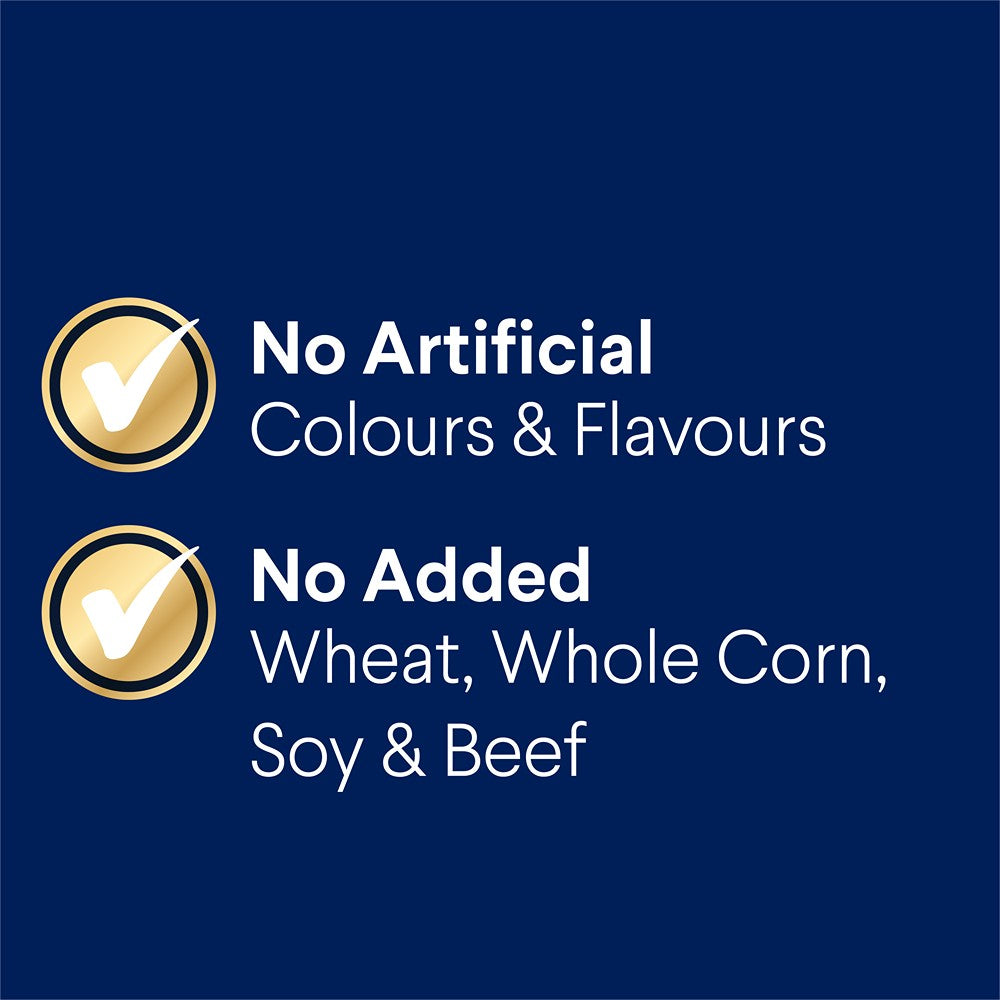 Advance Adult Large Breed Oodles Turkey & Rice Dry Dog Food