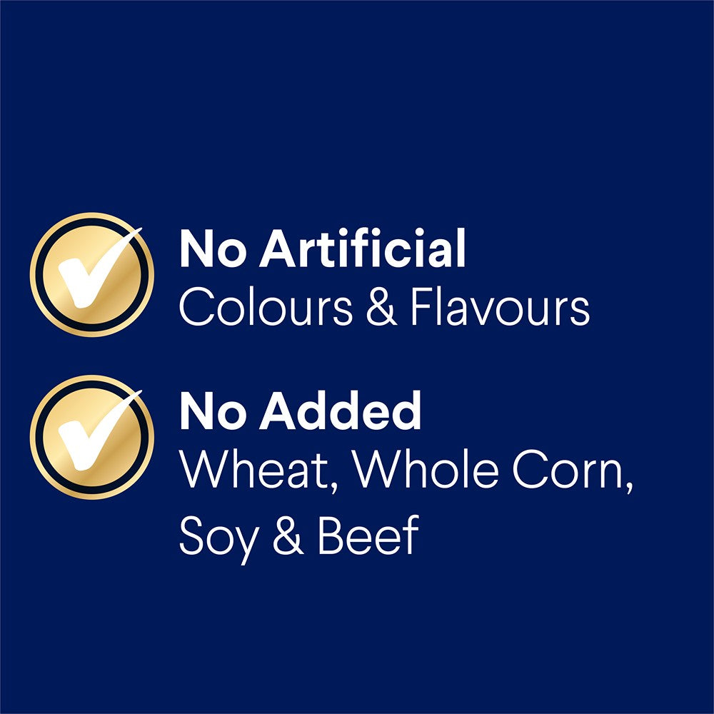 Advance Adult Small Breed Oodles Turkey & Rice Dry Dog Food