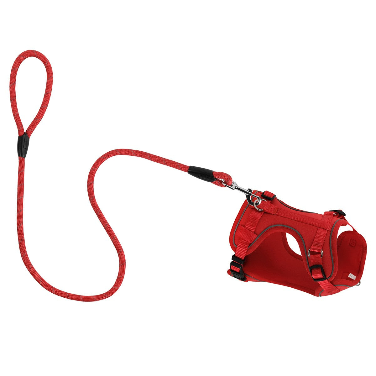 Lexi & Me Dog Harness