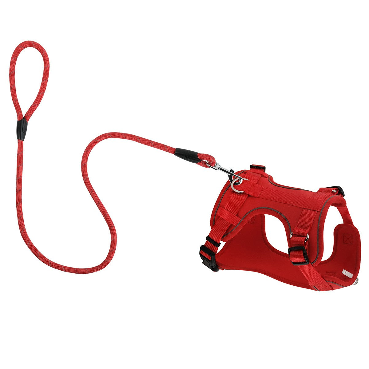 Lexi & Me Dog Harness