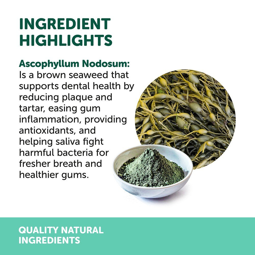 NAS Dental Powder for Dogs & Cats