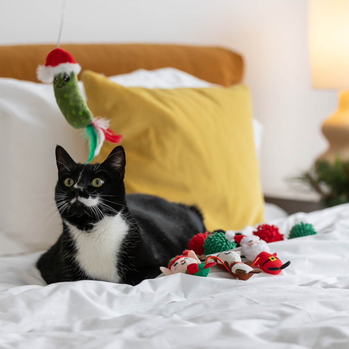Petstock Christmas Pickle Teaser Wand Cat Toy