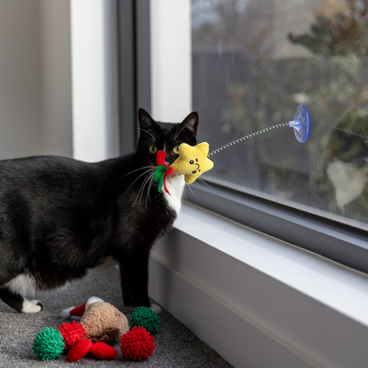 Petstock Christmas Spring Star Suction Teaser Cat Toy