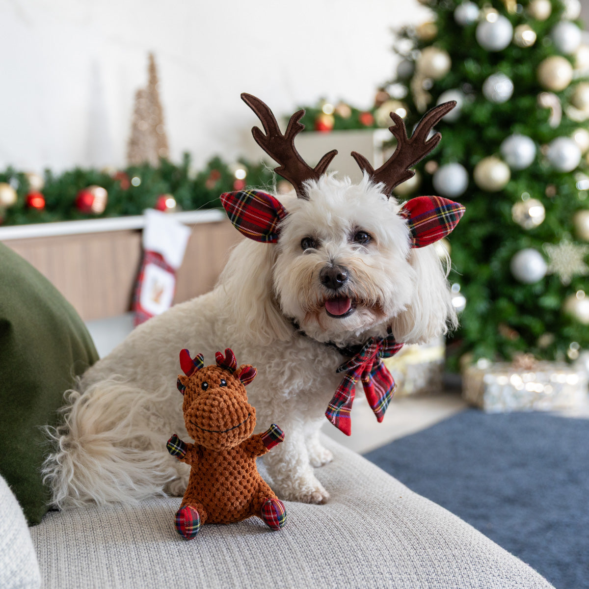 Petstock Foundation Christmas Reindeer Antlers Dog Accessory