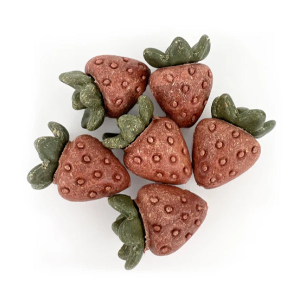 Pipsqueak Small Animal Forage Delites Strawberries