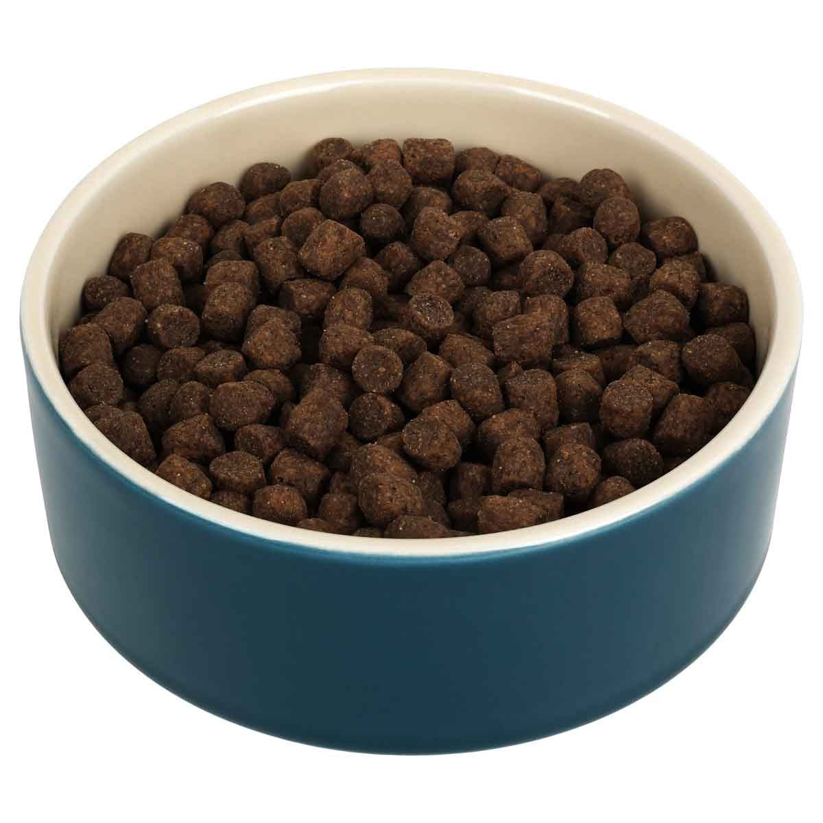 Buddy & Belle Deep Lagoon Ceramic Bowl