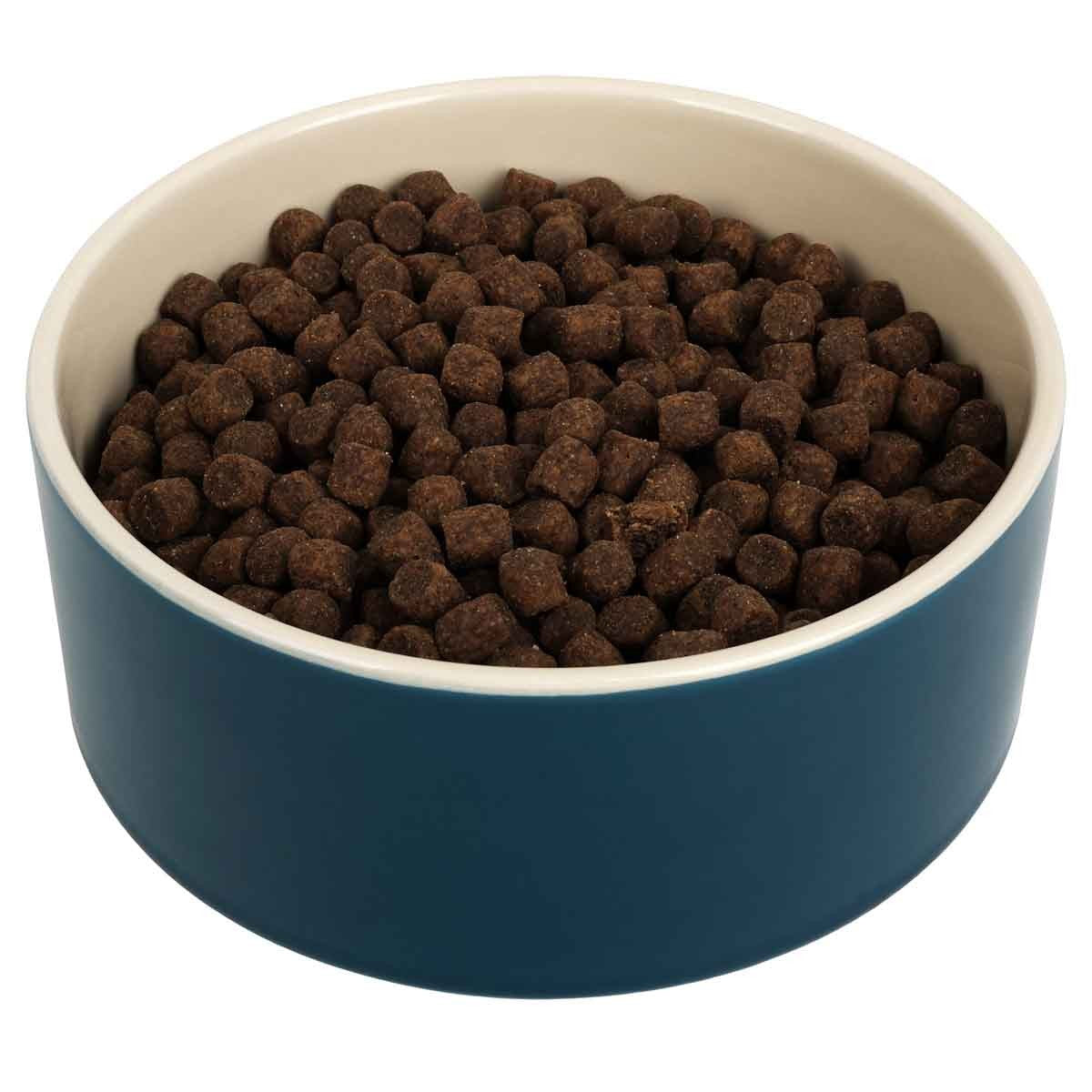Buddy & Belle Deep Lagoon Ceramic Bowl