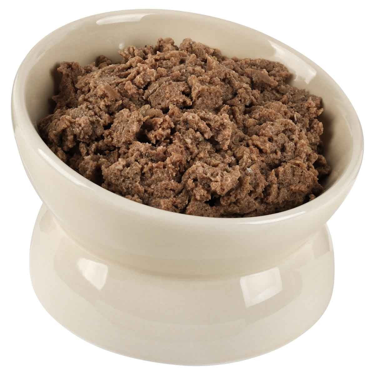 Buddy & Belle Raised Ceramic Bowl
