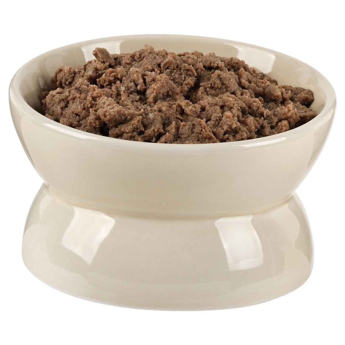 Buddy & Belle Raised Ceramic Bowl