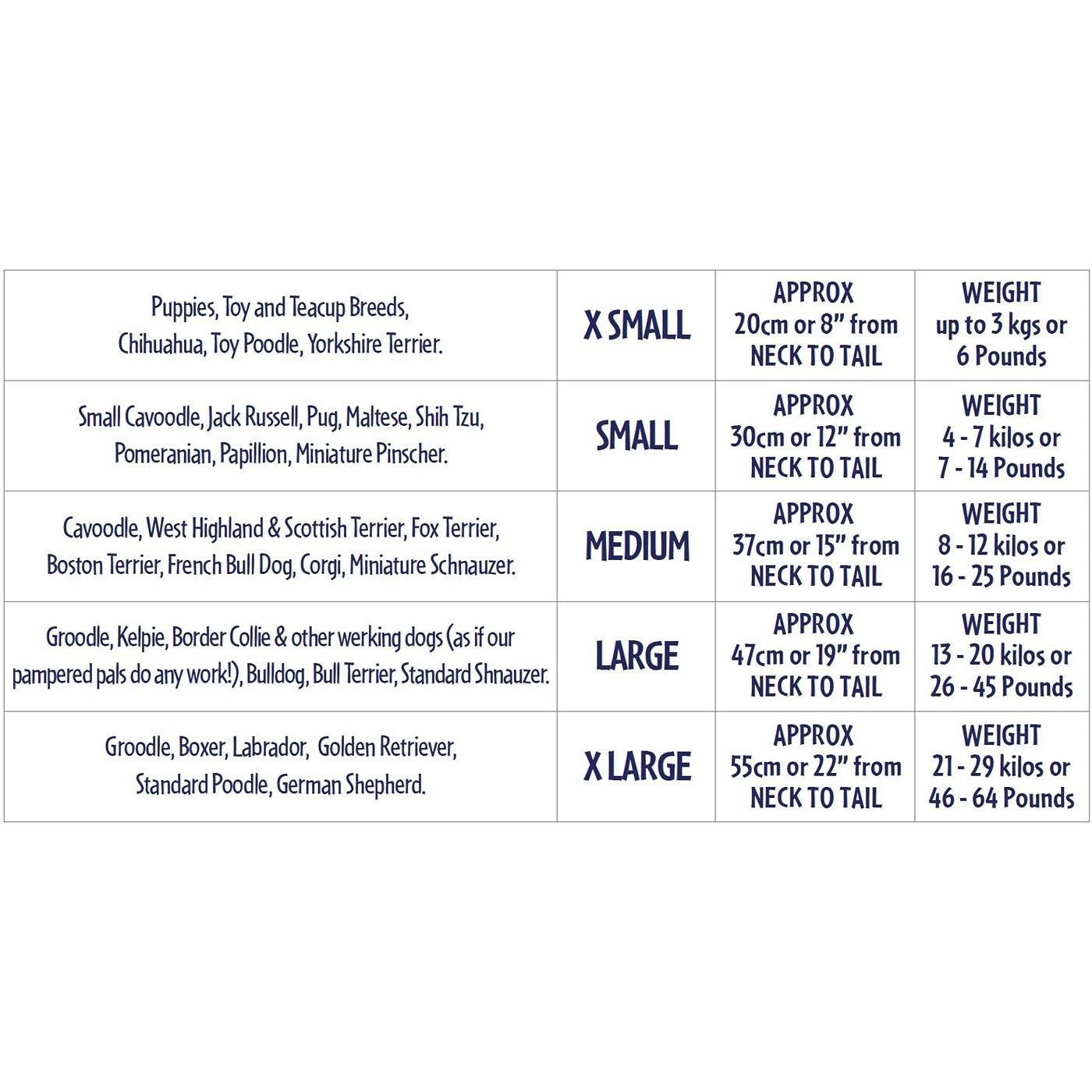 DGG Resort Dog Shirt Parrot Paradise