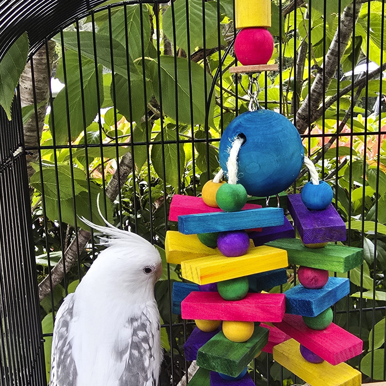 Avi One Colourful Blocks & Beads Bird Toy