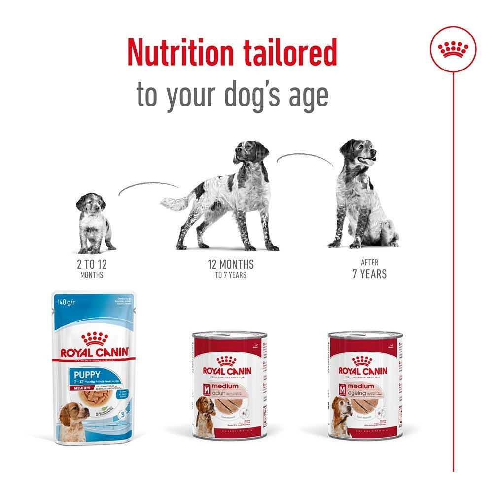 Royal Canin Adult Medium Loaf Wet Dog Food