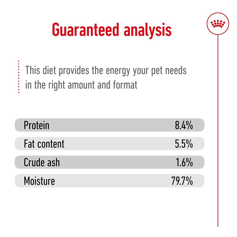 Royal Canin Ageing Medium Loaf Wet Dog Food
