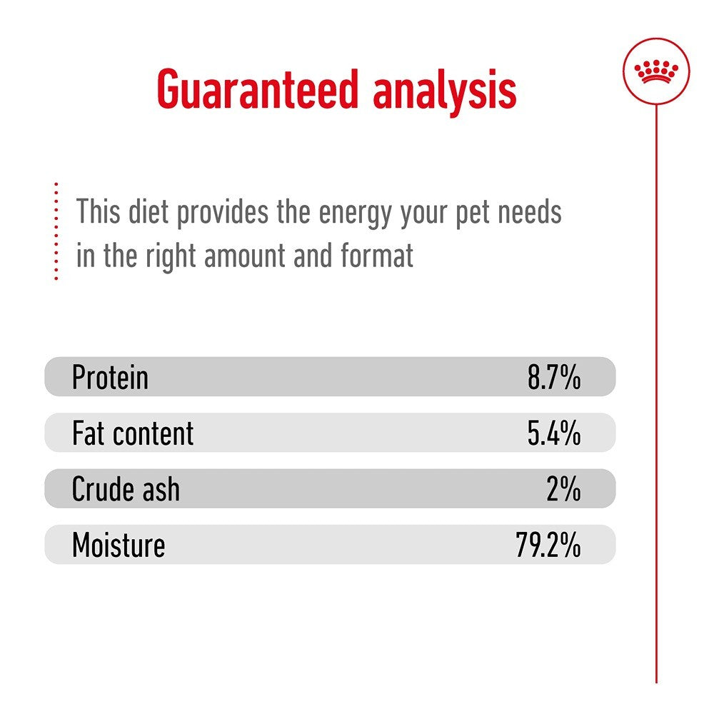Royal Canin Adult Maxi Loaf Wet Dog Food