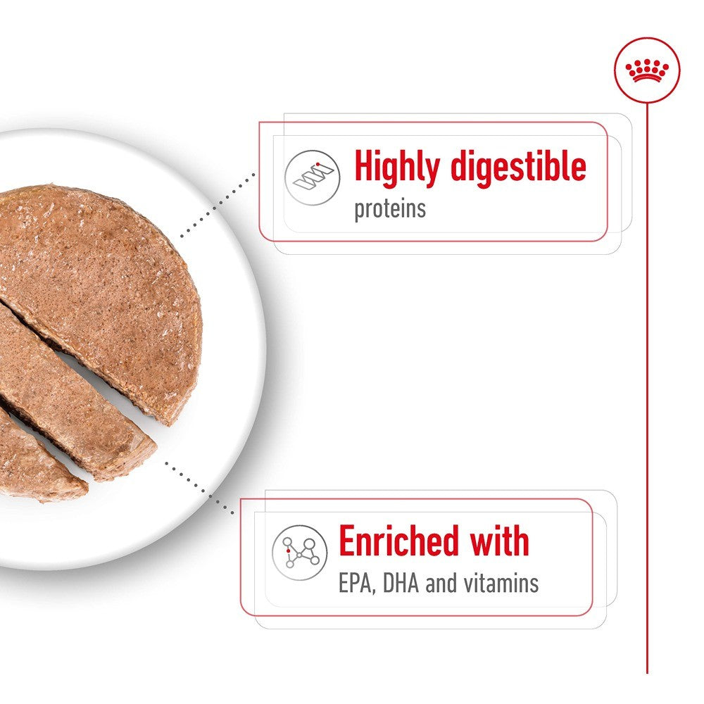 Royal Canin Ageing Maxi Loaf Wet Dog Food
