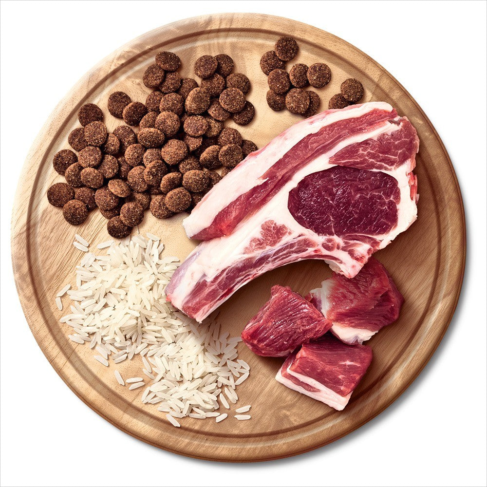 Advance All Breed Lamb Dry Dog Food