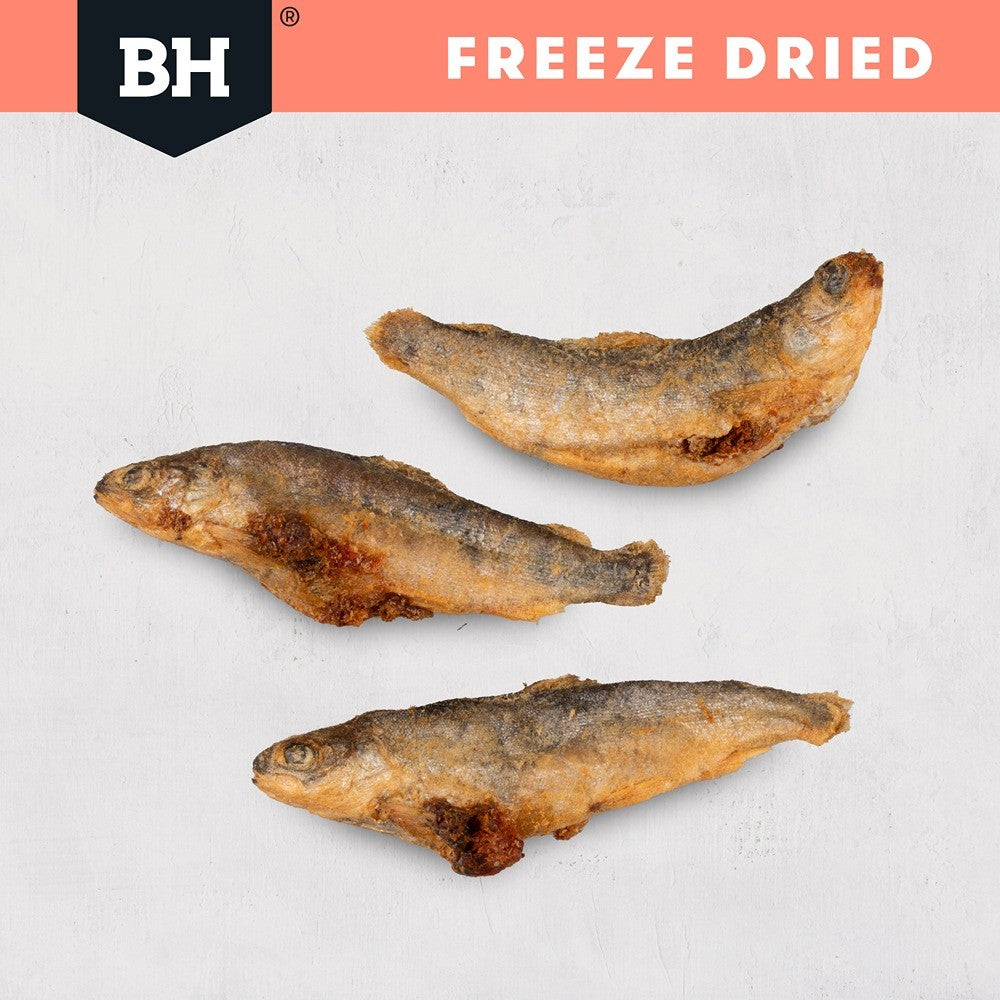 Black Hawk Freeze Dried Whole Salmon Dog Treats