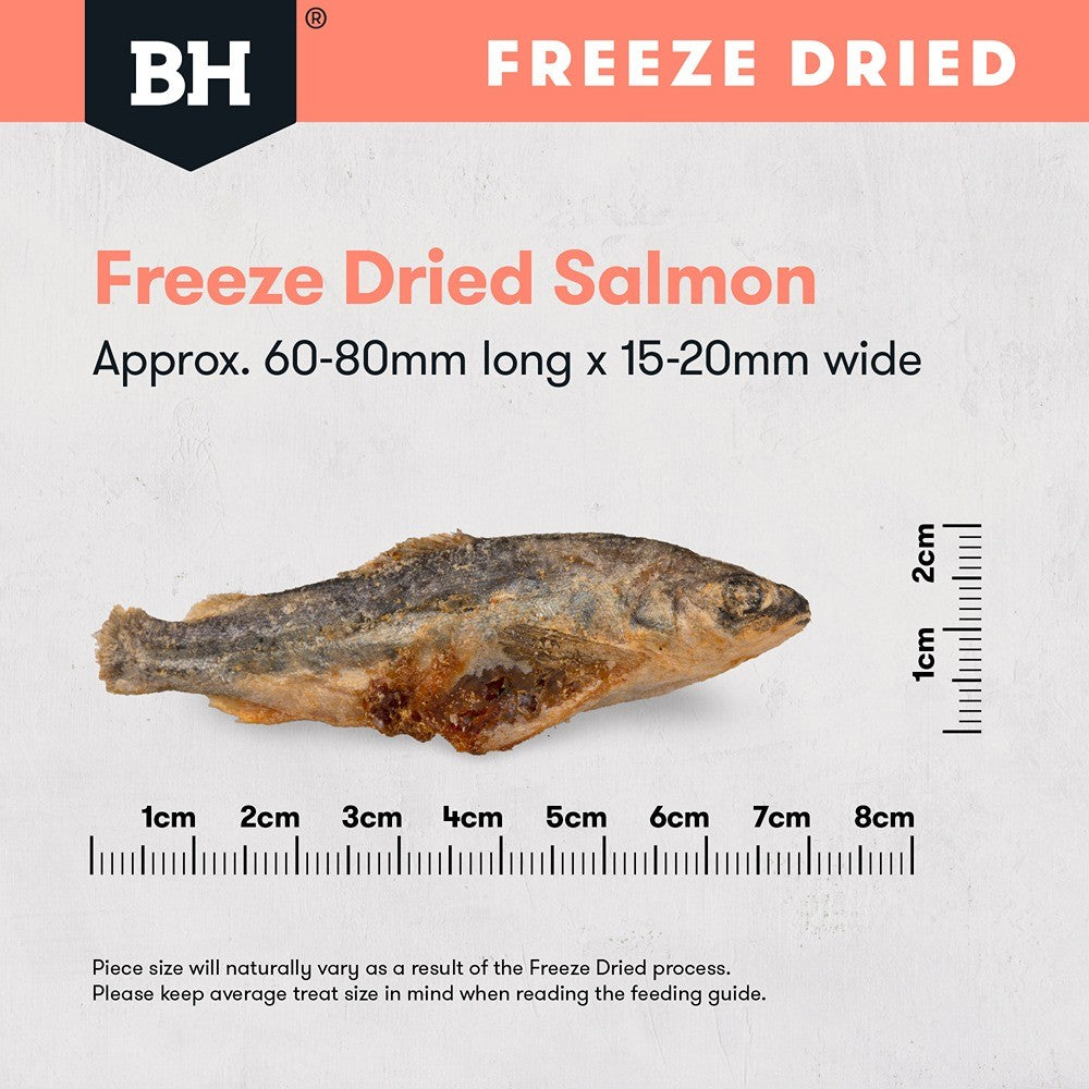 Black Hawk Freeze Dried Whole Salmon Dog Treats