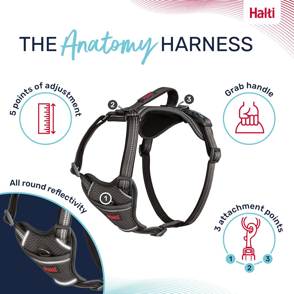 Halti Anatomy Dog Harness Grey