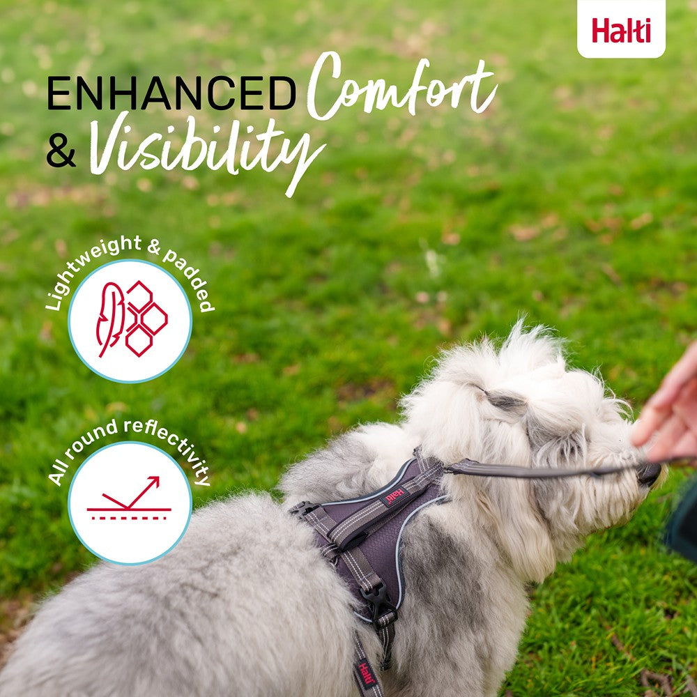 Halti Anatomy Dog Harness Grey
