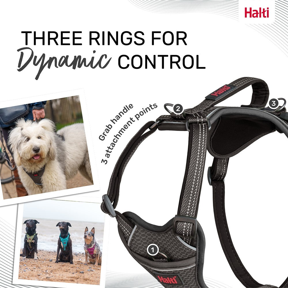 Halti Anatomy Dog Harness Grey