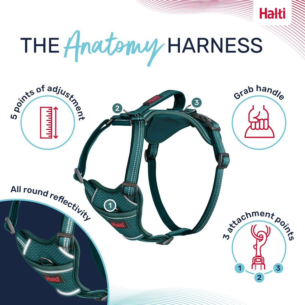 Halti Anatomy Dog Harness Teal