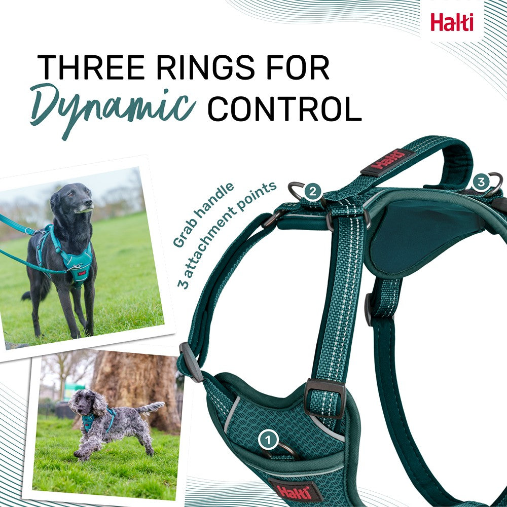 Halti Anatomy Dog Harness Teal