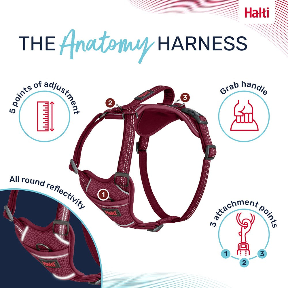 Halti Anatomy Dog Harness Magenta